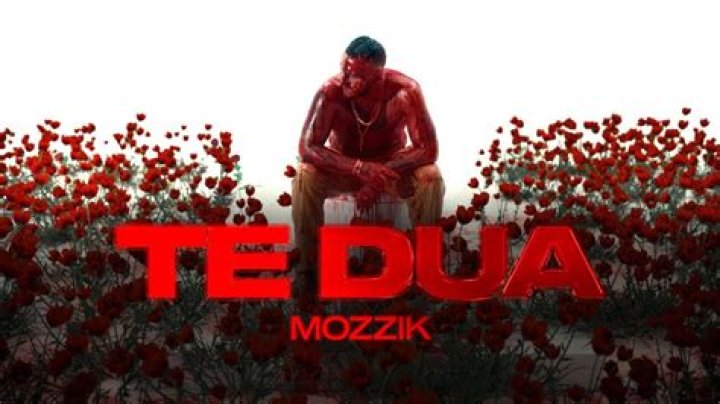 Mozzik Te Dua Lyrics English Translation