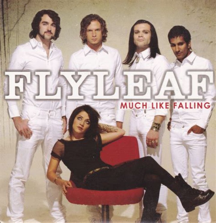 Much Like Falling Lyrics Meaning