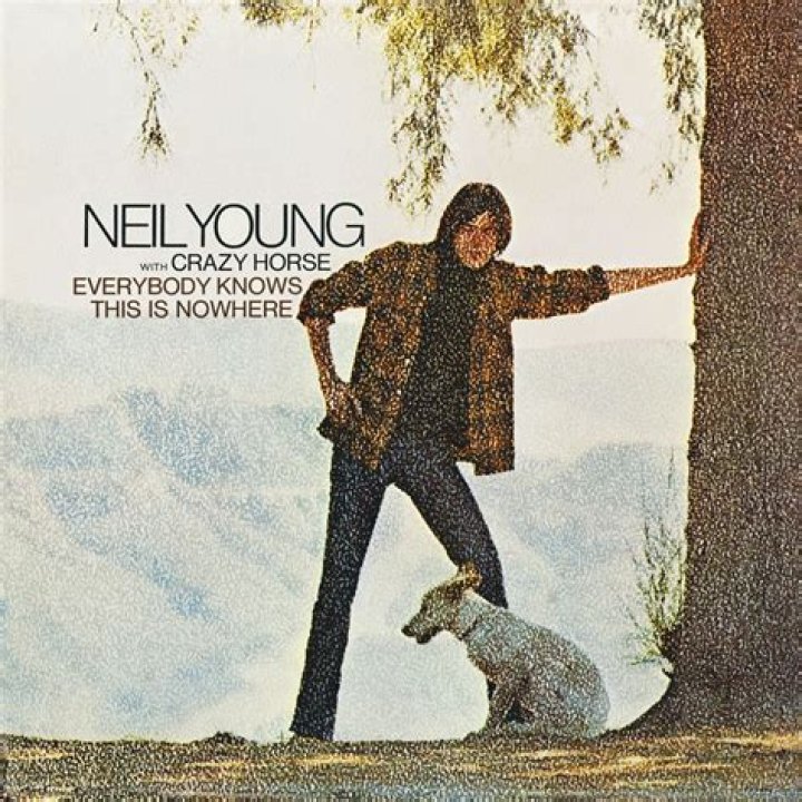 Neil Young - Cowgirl in the Sand Lyrics Meaning
