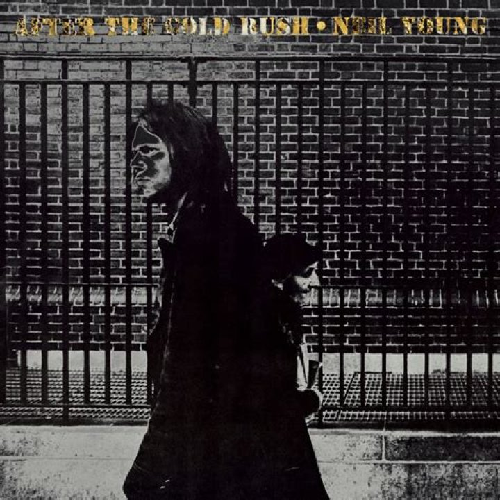 Neil Young - Southern Man Lyrics Meaning