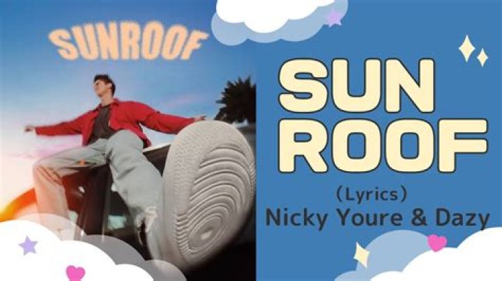 Nicky Youre - Sunroof Lyrics Meaning