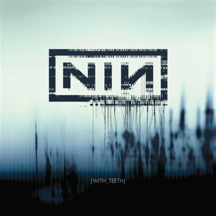 Nine Inch Nails - All The Love In The World Lyrics Meaning