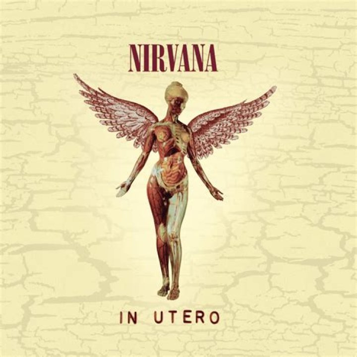 Nirvana - Dumb Lyrics Meaning