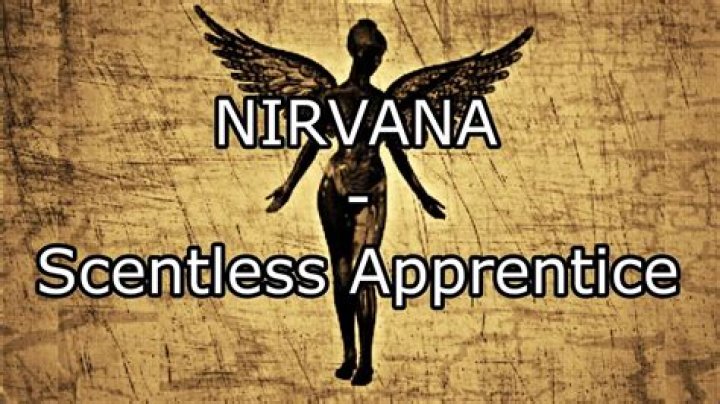 Nirvana - Scentless Apprentice Lyrics Meaning