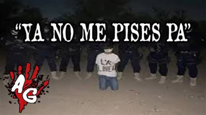 No me pises pa Video Original Gore Twitter