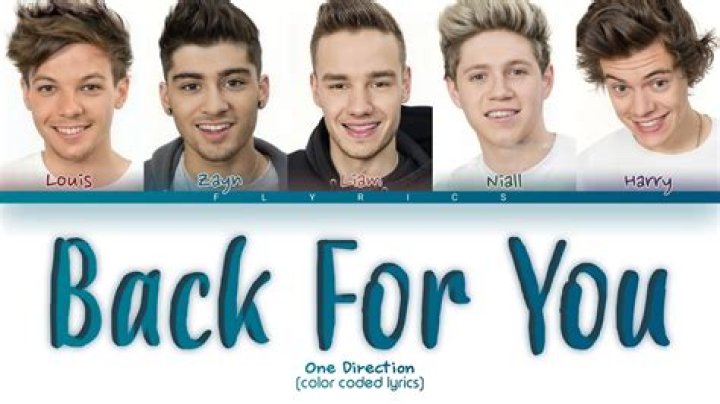 One Direction - Back For You Lyrics Meaning