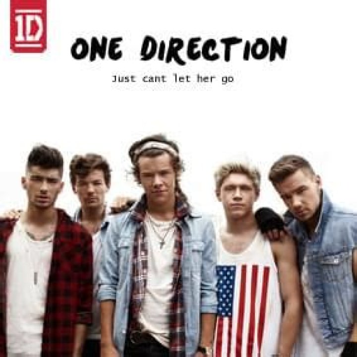 One Direction - Just Can't Let Her Go Lyrics Meaning