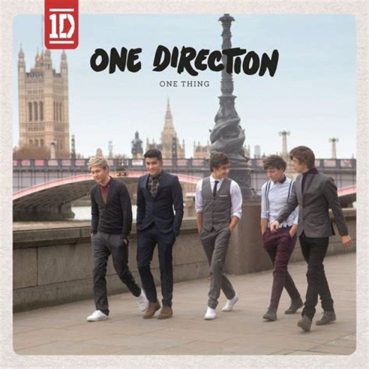 One Direction - One Thing Lyrics Meaning
