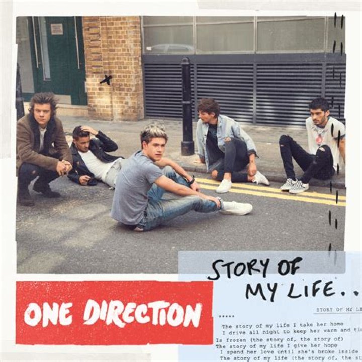 One Direction - Story of My Life Lyrics Meaning