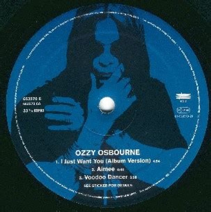 Ozzy Osbourne - I Just Want You Lyrics Meaning