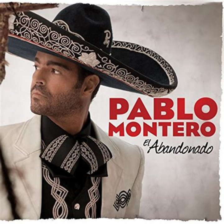 Pablo Montero El Abandonado Lyrics English Translation