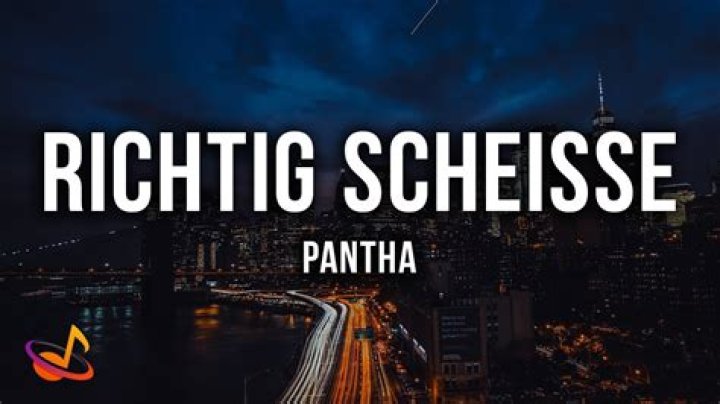 Pantha Richtig Scheisse Lyrics English Translation