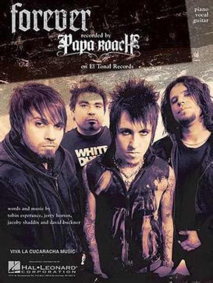 Papa Roach - Forever Lyrics Meaning