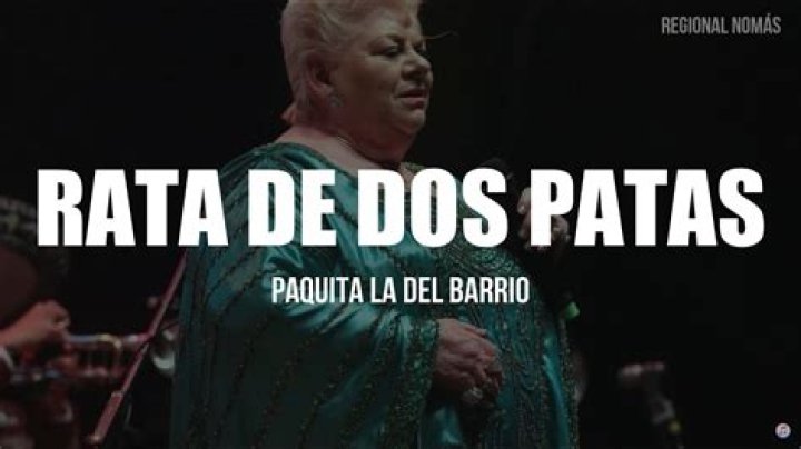 PAQUITA LA DEL BARRIO Rata De Dos Patas Lyrics English Translation