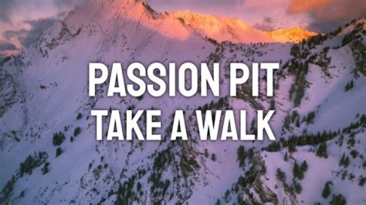 Passion Pit - Take A Walk Lyrics Meaning