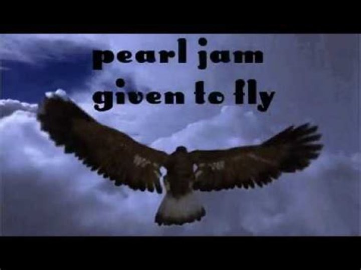 Pearl Jam Given To Fly Lyrics English Translation