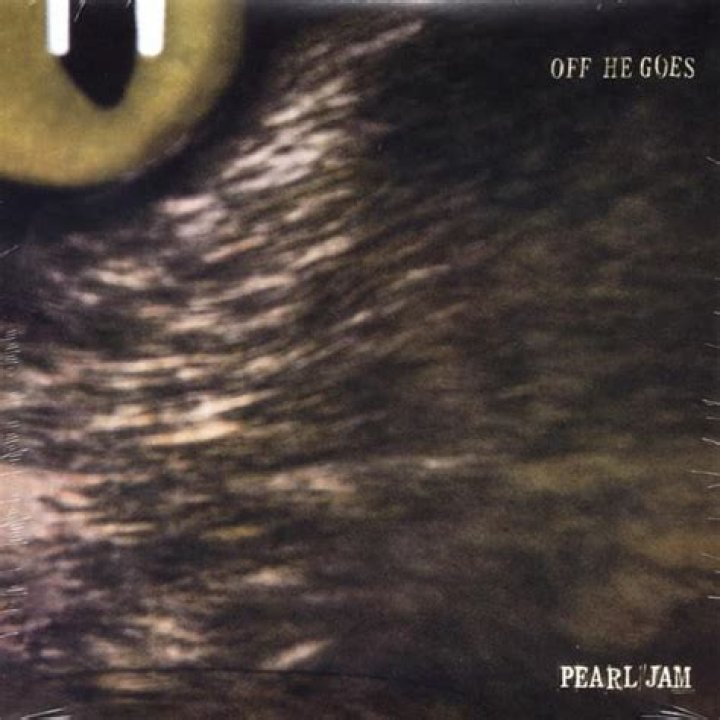 Pearl Jam - Off He Goes Lyrics Meaning