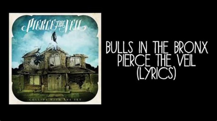 Pierce the Veil - Bulls in the Bronx Lyrics Meaning