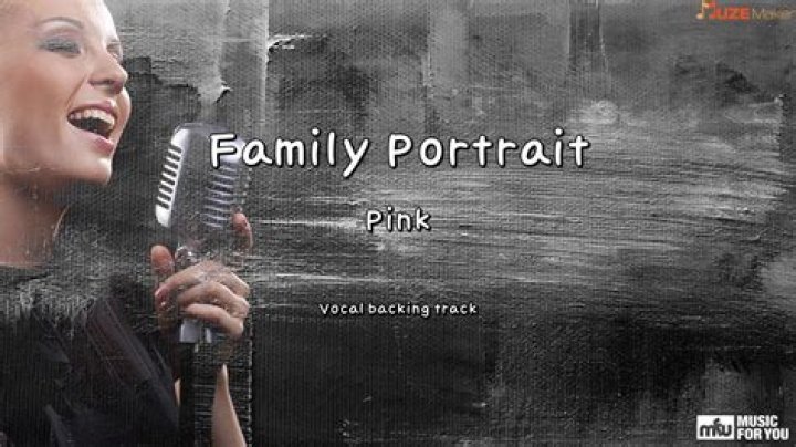 Pink - Family Portrait Lyrics Meaning