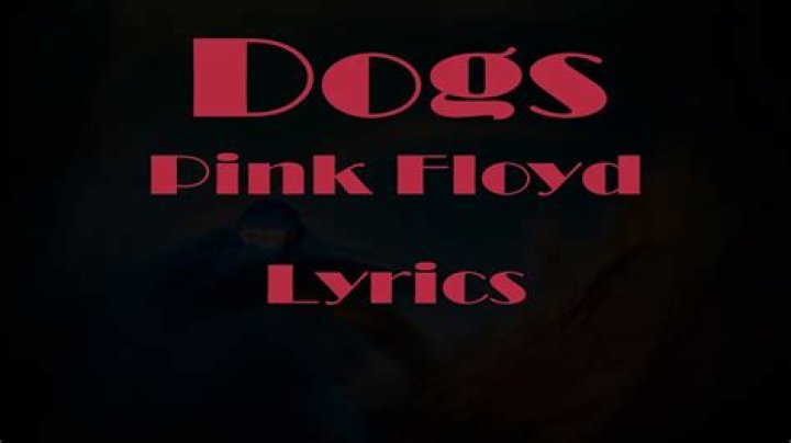 Pink Floyd - Dogs Lyrics Meaning