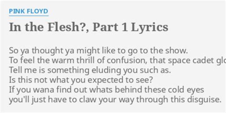 Pink Floyd - In The Flesh Lyrics Meaning