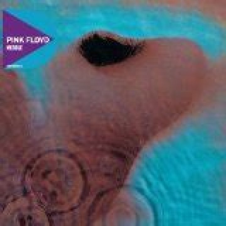 Pink Floyd - One of These Days Lyrics Meaning