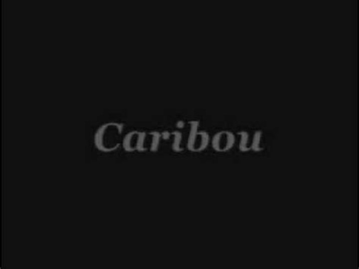 Pixies Caribou Lyrics English Translation