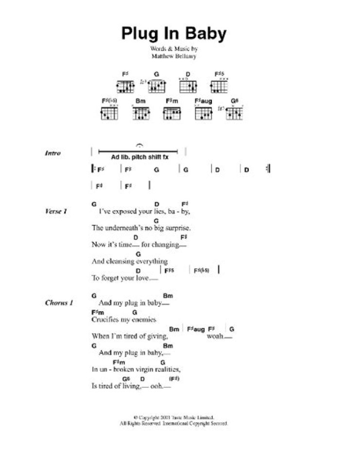Plug In Baby Lyrics Meaning