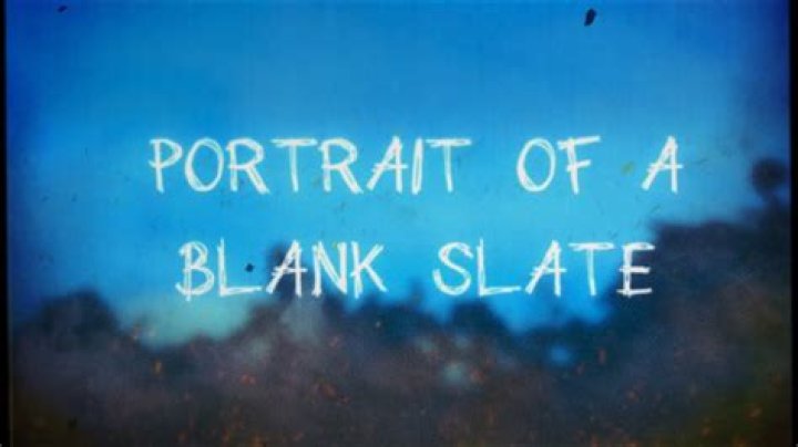 Portrait Of A Blank Slate Lyrics Meaning