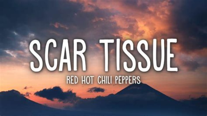 Red Hot Chili Peppers - Scar Tissue Lyrics Meaning