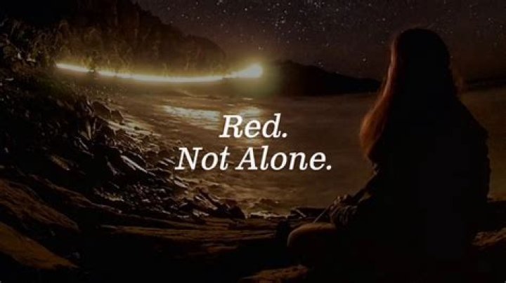 Red - Not Alone Lyrics Meaning