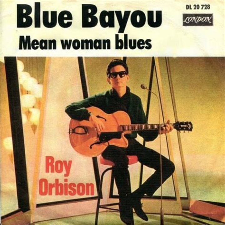 Roy Orbison - Blue Bayou Lyrics Meaning