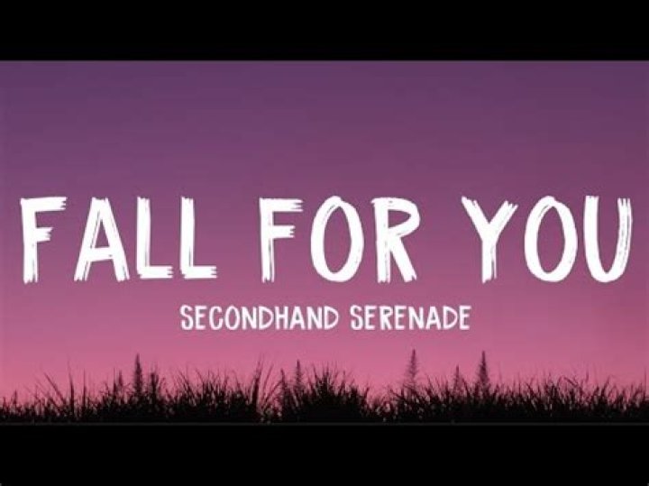 Secondhand Serenade - Fall For You Lyrics Meaning