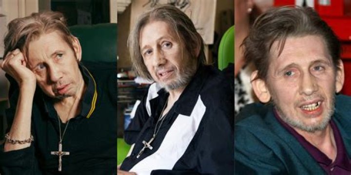 Shane Macgowan Net Worth: Details About Him, Career, Home, Age, Income