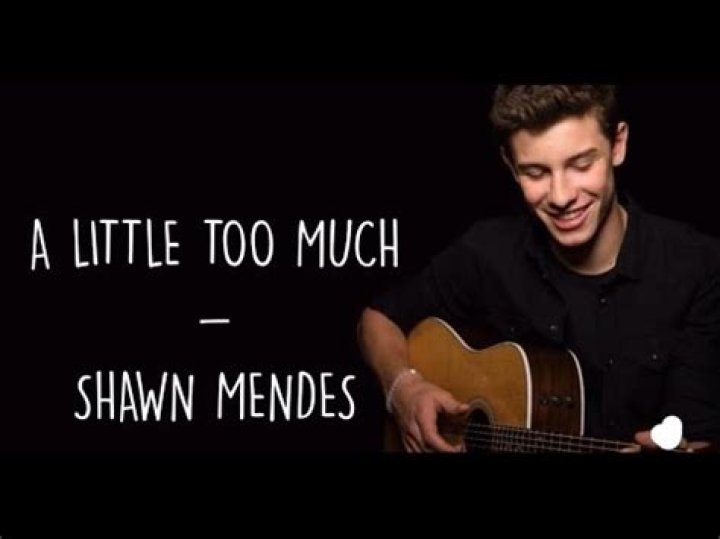 Shawn Mendes - A Little Too Much Lyrics Meaning
