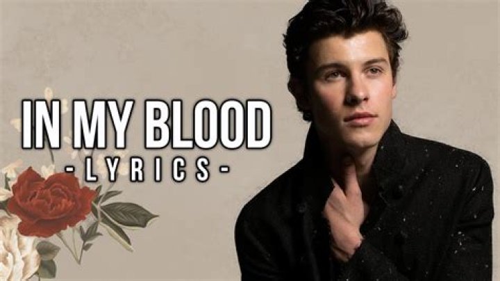 Shawn Mendes - In My Blood Lyrics Meaning