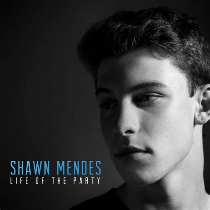 Shawn Mendes - Life of the Party Lyrics Meaning