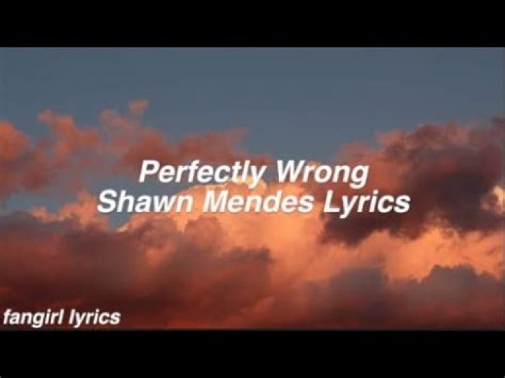 Shawn Mendes - Perfectly Wrong Lyrics Meaning