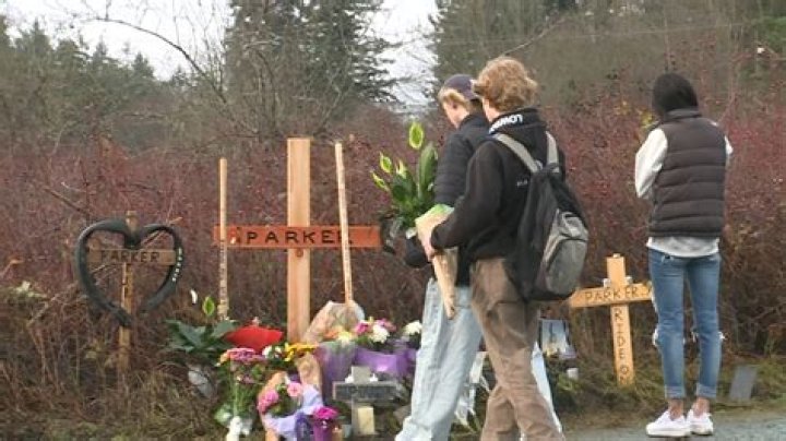 Shocked by the Parker Amann Accident: Cedar, British Columbia Teenager and Mountain Biker, Parker Amann Died in Tragic Accident