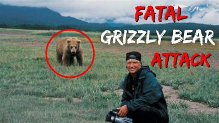 Shocking Timothy Treadwell Bear Attack Caught on Video Goes Viral on Social Media