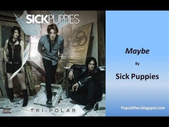 Sick Puppies - Maybe Lyrics Meaning