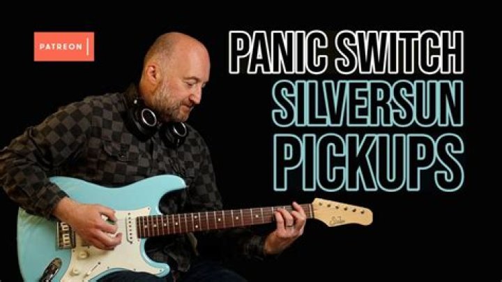 Silversun Pickups - Panic Switch Lyrics Meaning