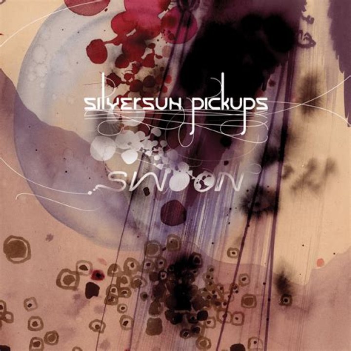 Silversun Pickups - The Royal We Lyrics Meaning