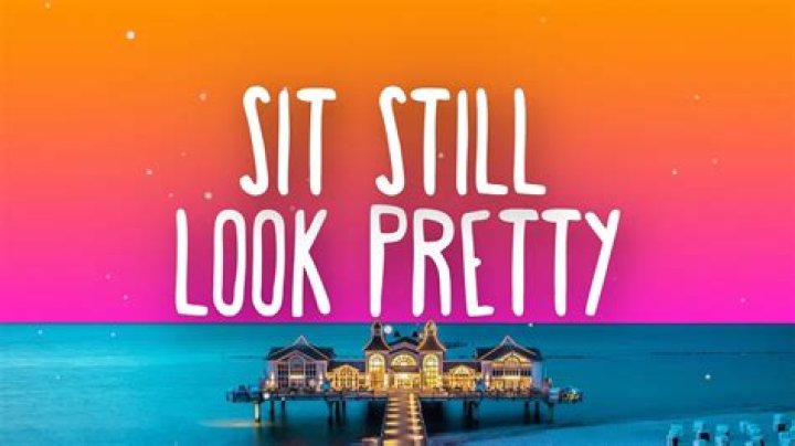 Sit Still, Look Pretty Lyrics Meaning