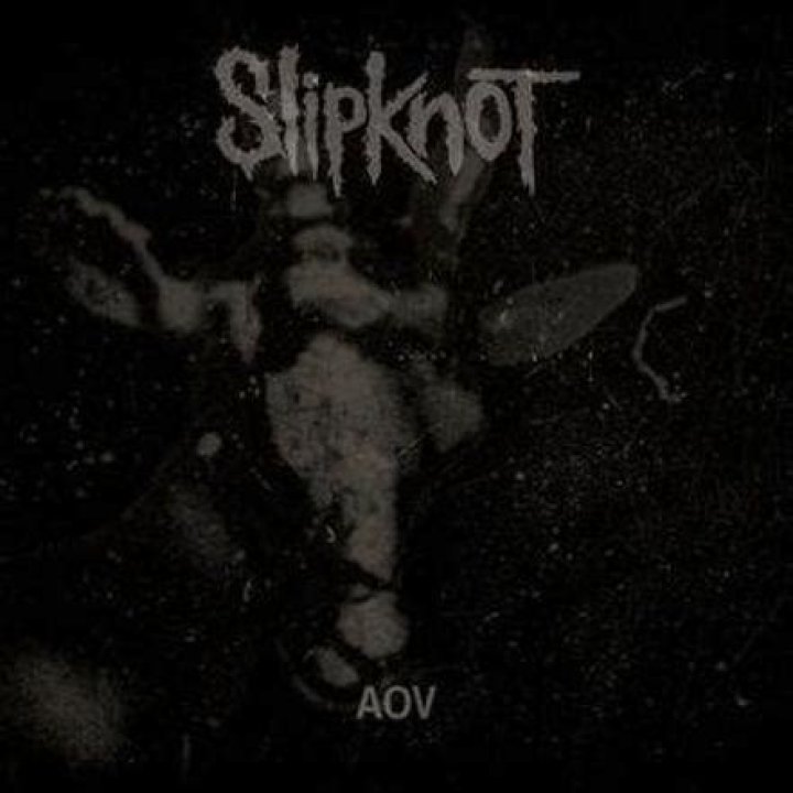 Slipknot - AOV Lyrics Meaning