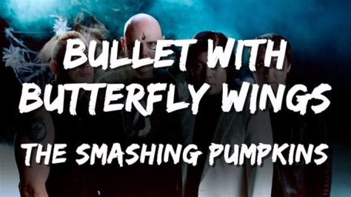 Smashing Pumpkins - Bullet With Butterfly Wings Lyrics Meaning