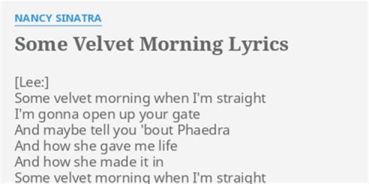 Some velvet morning lyrics
