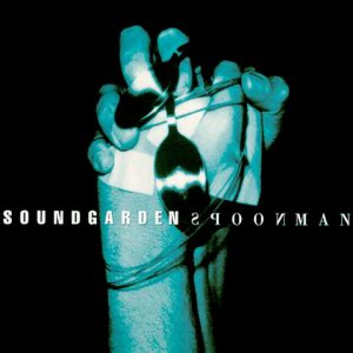 Soundgarden - Spoonman Lyrics Meaning
