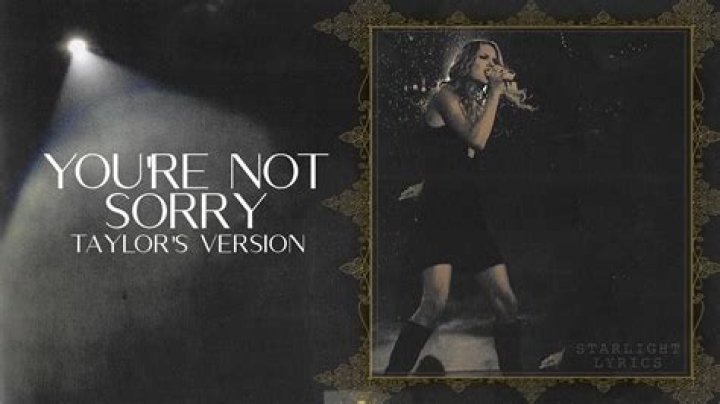 Stan (You're Not Sorry) ft. Taylor Swift Lyrics Meaning