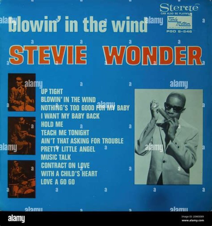 Stevie Wonder Blowin' In The Wind Lyrics
